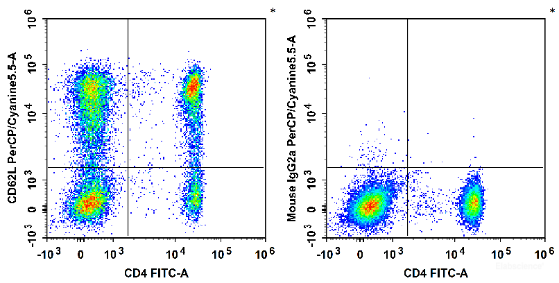 Human peripheral blood lymphocytes are stained with FITC Anti-Human CD4 Antibody and PerCP/Cyanine5.5 Anti-Human CD62L Antibody[HI62L] (Left). Lymphocytes are stained with FITC Anti-Human CD4 Antibody and PerCP/Cyanine5.5 Mouse IgG2a, κ Isotype Control (Right).