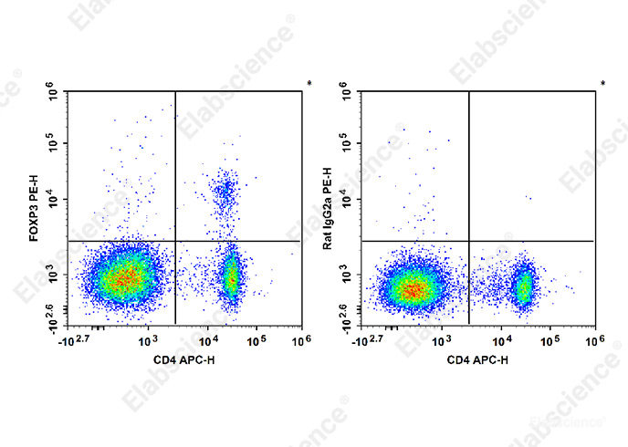 C57BL/6 murine splenocytes are stained with APC Anti-Mouse CD4 Antibody and PE Anti-Mouse/Rat Foxp3 Antibody[FJK-16s] (Left). Splenocytes are stained with APC Anti-Mouse CD4 Antibody and PE Rat IgG2a, κ Isotype Control (Right).