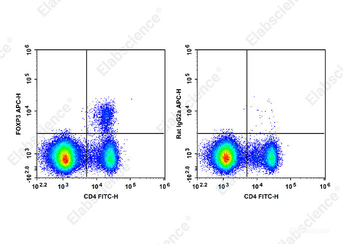 C57BL/6 murine splenocytes are stained with FITC Anti-Mouse CD4 Antibody and APC Anti-Mouse/Rat Foxp3 Antibody[FJK-16s] (Left). Splenocytes are stained with FITC Anti-Mouse CD4 Antibody and APC Rat IgG2a, κ Isotype Control (Right).