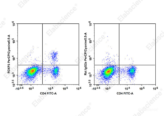 C57BL/6 murine splenocytes are stained with FITC Anti-Mouse CD4 Antibody and PerCP/Cyanine5.5 Anti-Mouse/Rat Foxp3 Antibody[FJK-16s] (Left). Splenocytes are stained with FITC Anti-Mouse CD4 Antibody and PerCP/Cyanine5.5 Rat IgG2a, κ Isotype Control (Right).