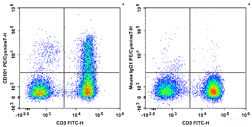 Human peripheral blood lymphocytes are stained with FITC Anti-Human CD3 Antibody and PE/Cyanine7 Anti-Human CD101 Antibody[BB27] (Left). Lymphocytes are stained with FITC Anti-Human CD3 Antibody and PE/Cyanine7 Mouse IgG1, κ Isotype Control (Right).