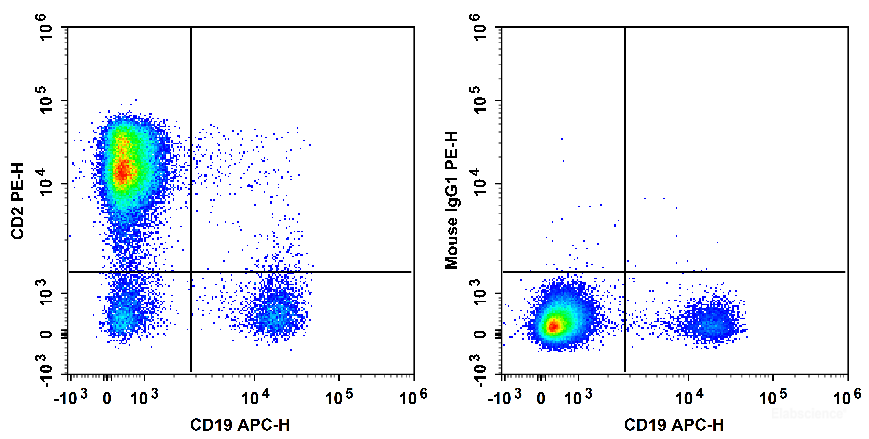 Human peripheral blood lymphocytes are stained with APC Anti-human CD19 Antibody and PE Anti-Human CD2 Antibody[RPA-2.10] (Left). Lymphocytes are stained with APC Anti-human CD19 Antibody and PE Mouse IgG1, κ Isotype Control (Right).