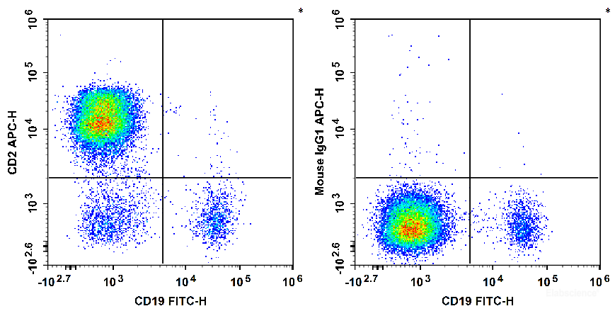 Human peripheral blood lymphocytes are stained with FITC Anti-human CD19 Antibody and APC Anti-Human CD2 Antibody[RPA-2.10] (Left). Lymphocytes are stained with FITC Anti-human CD19 Antibody and APC Mouse IgG1, κ Isotype Control (Right).