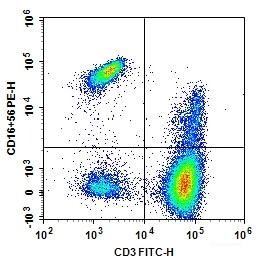 Human peripheral blood lymphocytes are stained with Anti-Human CD3-FITC/CD16+CD56-PE.