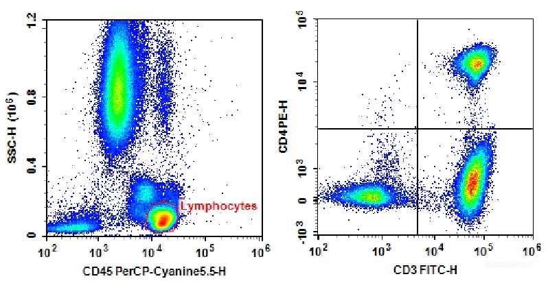 Human peripheral blood lymphocytes are stained with Anti-Human CD3-FITC/CD4-PE/CD45-PerCP-Cyanine5.5.