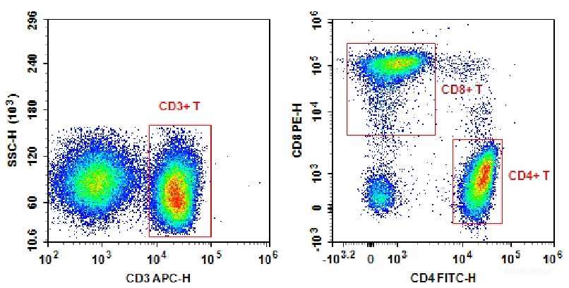 Human peripheral blood lymphocytes are stained with Anti-Human CD3-APC/CD4-FITC/CD8a-PE.