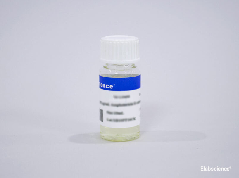 Ready-to-Use 250 μg/mL Amphotericin B Solution Designed To Support And ...