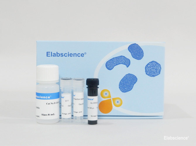 High Affinity and Specificity Caspase 8 Activity Colorimetric Assay Kit ...