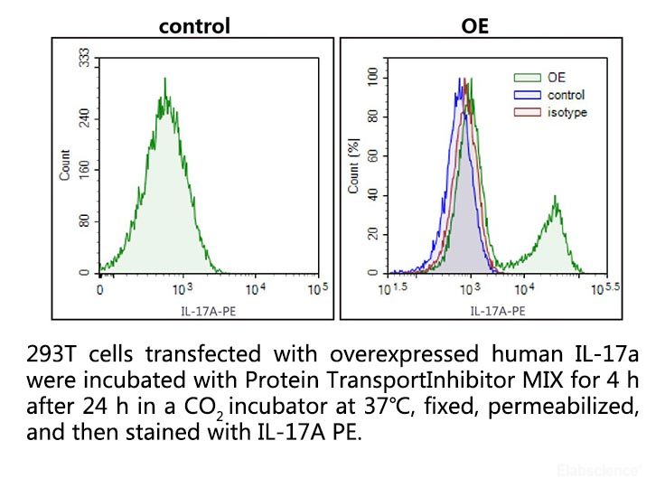 293T cells transfected with overexpressed human IL-17a were incubated with Protein TransportInhibitor MIX for 4 h after 24 h in a CO2 incubator at 37℃, fixed, permeabilized, and then stained with IL-17A PE.