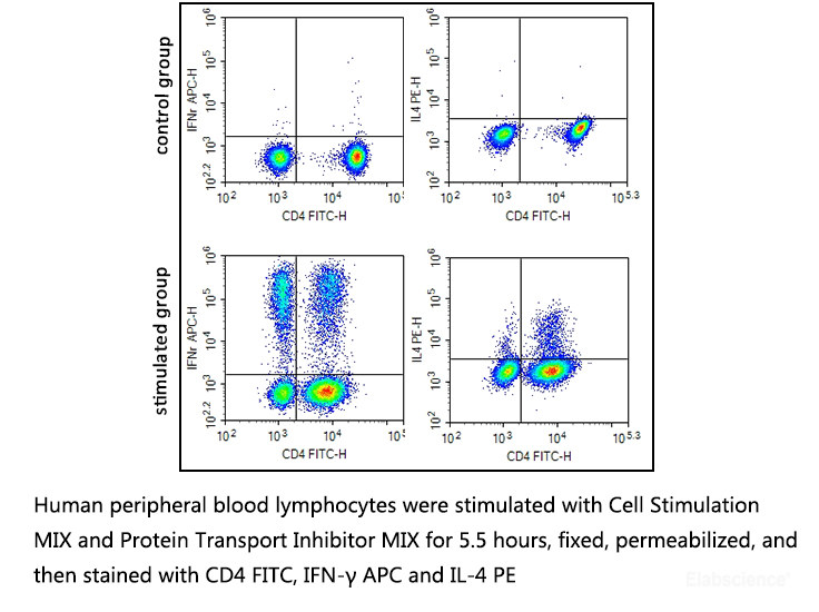 Human peripheral blood lymphocytes were stimulated with Cell Stimulation MIX and Protein Transport Inhibitor MIX for 5 hours, fixed, permeabilized, and then stained with CD3 FITC, IFN-γ PE and IL-4 APC.