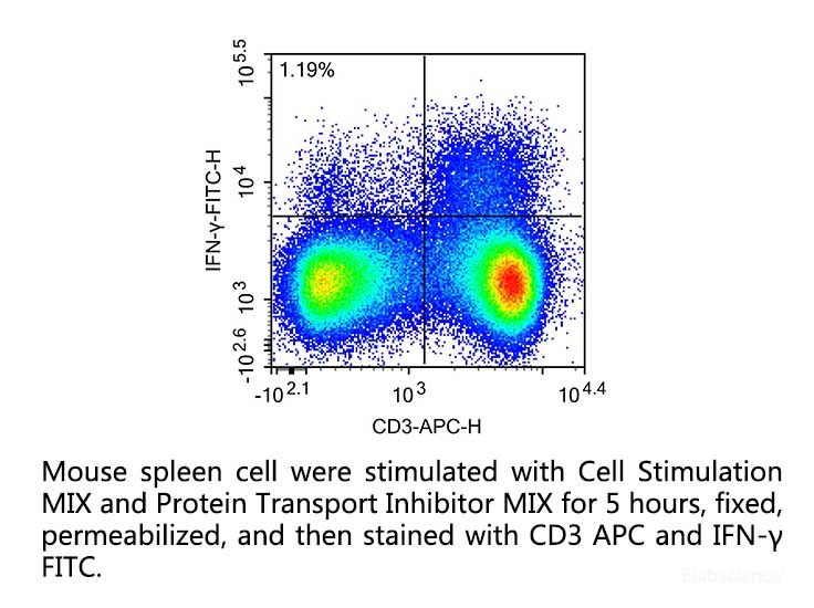 Mouse spleen cell were stimulated with Cell Stimulation MIX and Protein Transport Inhibitor MIX for 5 hours, fixed, permeabilized, and then stained with CD3 APC and IFN-γ FITC.
