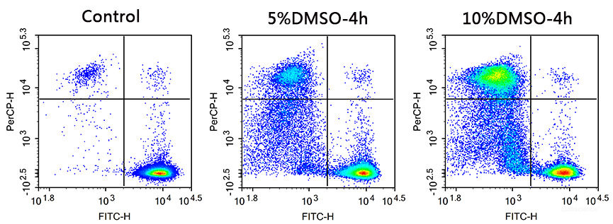 Molt-4 cells were treated with 5 % DMSO and 10 % DMSO for 4h, then stained with Calcein-AM / PI Double Staining Kit and detected by flow cytometry.