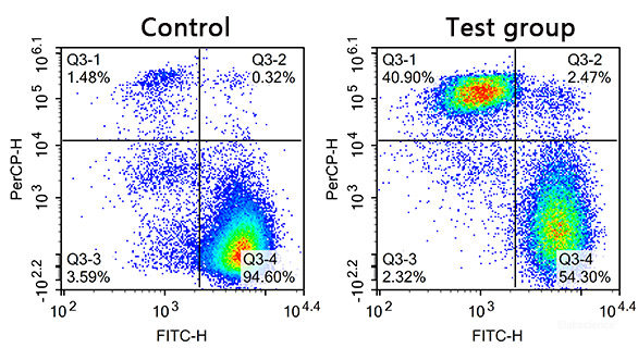 Jurkat cells were placed at 4 °C for 20 days, then stained with Calcein-AM / PI Double Staining Kit and detected by flow cytometry.