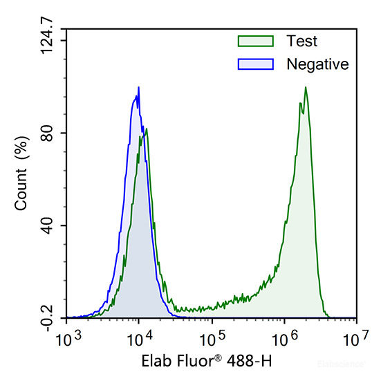 Test: HL-60 cells were treated with 10 μM EdU for 3 hours. Negative: HL-60 cells without EdU.