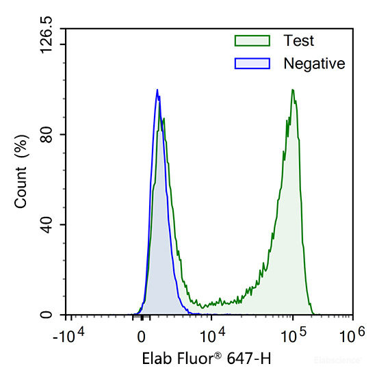 Test: HL-60 cells were treated with 10 μM EdU for 3 hours. Negative: HL-60 cells without EdU.