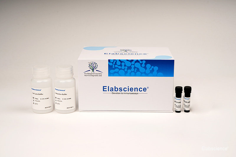 High Affinity and Specificity Caspase 3/7 Activity Assay Kit ...