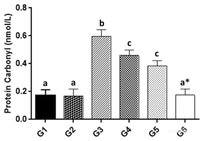 DOI: 10.1016/j.lfs.2020.117584