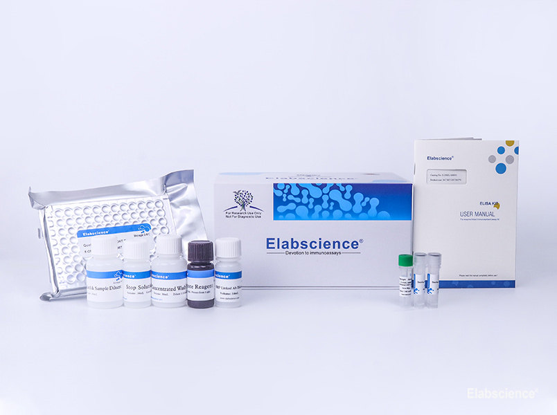 Testosterone Testing In Rat or Mouse ELISA Kit