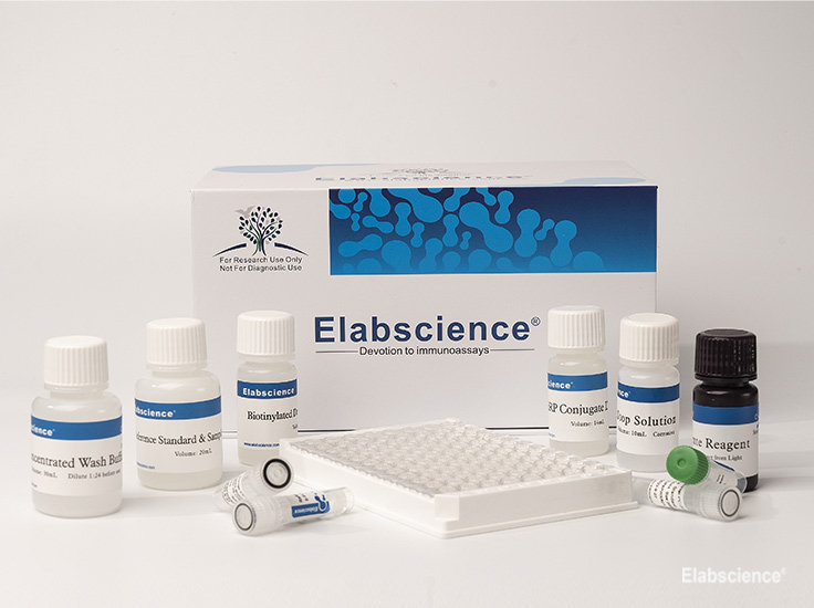 Competitive-ELISA-Elabscience