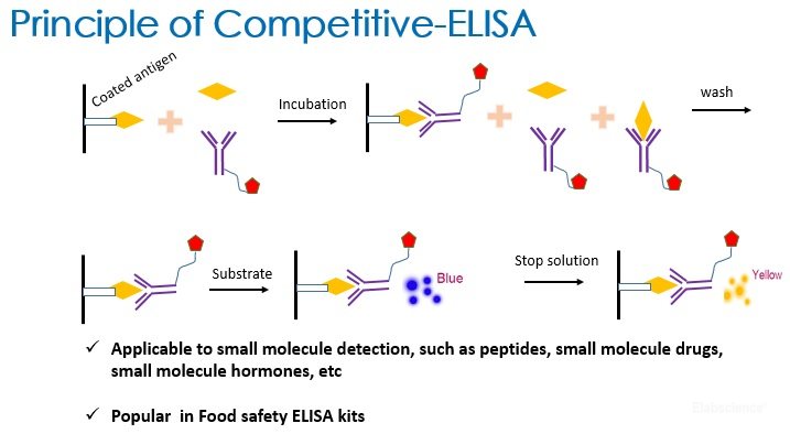 Food Safety ELISA Kit-Elabscience