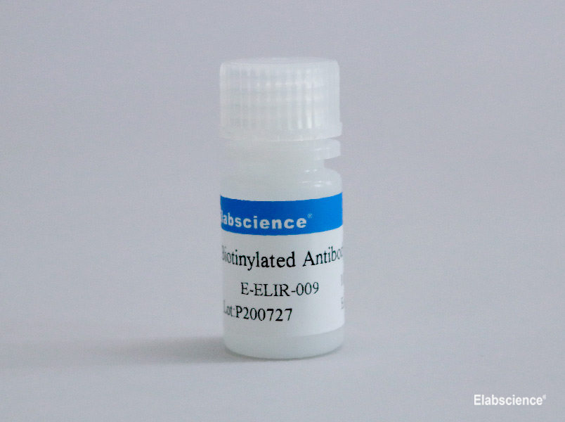Biotinylated-Antibody-Stabilizer-Elabscience