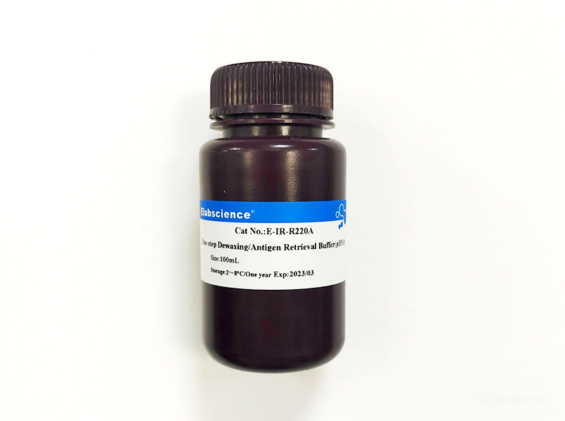 One-step Dewaxing/Antigen Retrieval Buffer(pH9.0)-Elabscience