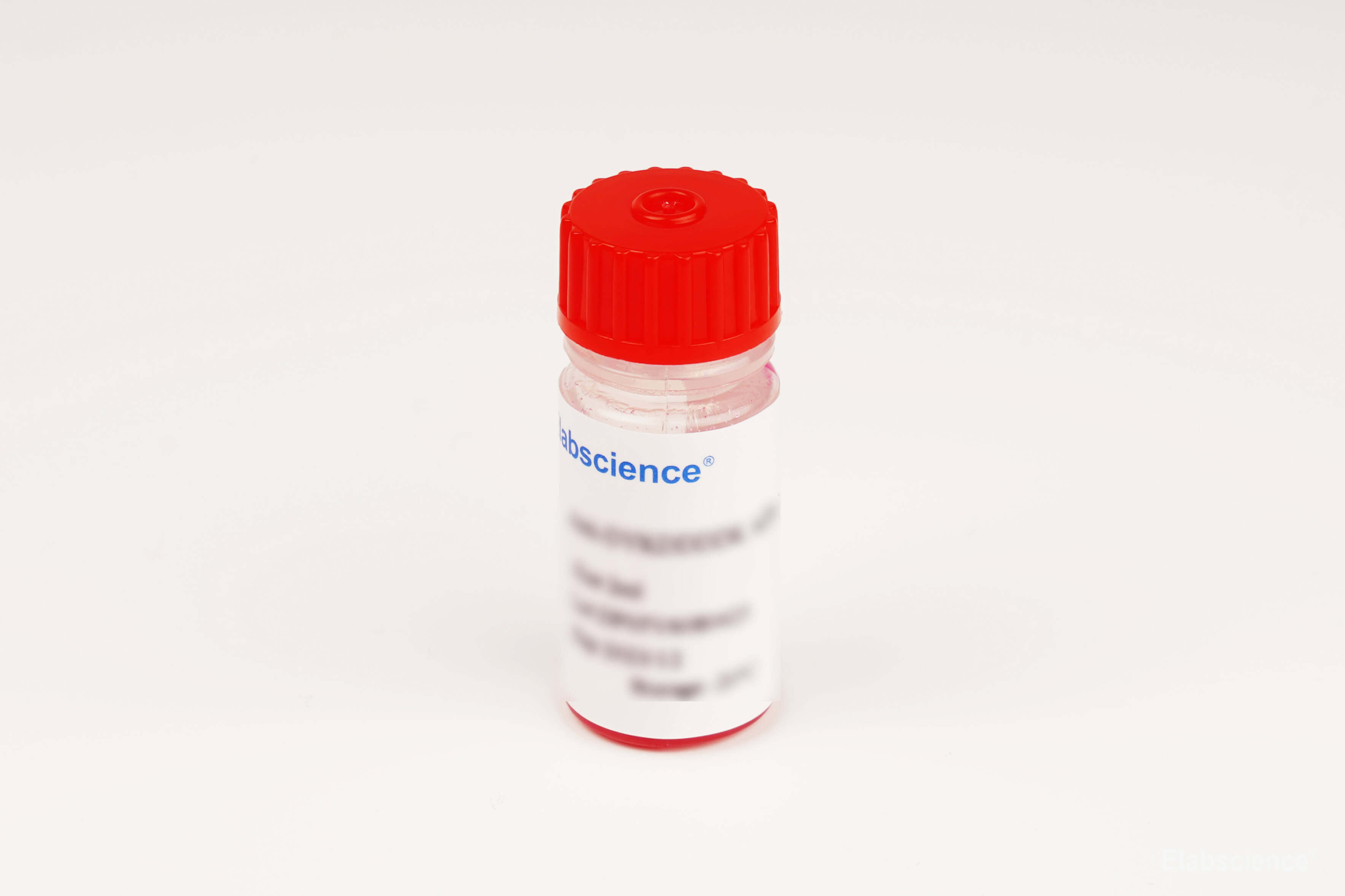 Protein A/G Affinity Agarose-Elabscience