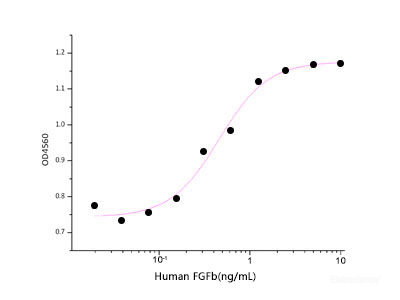 Measured in a cell proliferation assay using BALB/c 3T3 cells. The ED50 for this effect is 0.3-2.0 ng/ml.