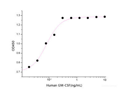Measured in a cell proliferation assay using TF1 human erythroleukemic cells. The ED50 for this effect is 6-30 pg/ml.