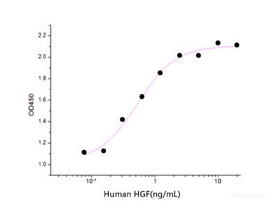 Measured by its ability to induce IL-11 secretion by Saos2 human osteosarcoma cells. The ED50 for this effect is 0.3-1.5 ng/ml.