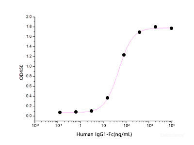 Immobilized Human IgG1 Fc at 2μg/ml(100 μl/well) can bind Human CD64-His(Cat: PKSH033655). The ED50 of Human IgG1 Fc is 47.99 ng/ml .