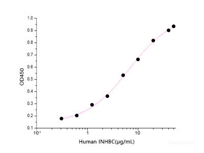 Immobilized Human INHBC-His at 0.8μg/ml(100 μl/well) can bind Human ACVR2A-Fc(Cat: PKSH032039). The ED50 of Human INHBC-His is 6.73 ug/ml .