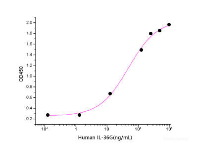 Measured by its ability to induce IL-8 secretion in A431 human epithelial carcinoma cells. The ED50 for this effect is 5-20 ng/ml.