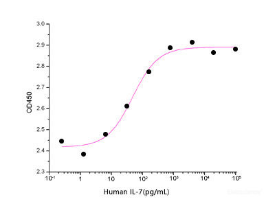 Measured in a cell proliferation assay using PHA-activated human peripheral blood lymphocytes (PBL). The ED50 for this effect is  50-300 pg/mL.
