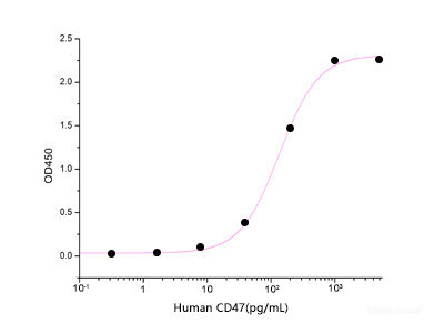 Immobilized Human SIRPA-His(Cat: PKSH033525) at 0.8μg/ml(100 μl/well) can bind Human CD47-Fc. The ED50 of Human CD47-Fc is 0.135 ug/ml .