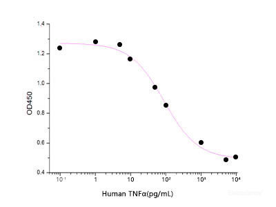 Measured in a cytotoxicity assay using L929 mouse fibroblast cells in the presence of the metabolic inhibitor actinomycin D. The ED50 for this effect is 10-40 pg/ml.