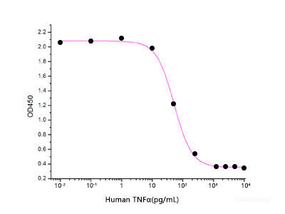 Measured in a cytotoxicity assay using L929 mouse fibroblast cells in the presence of the metabolic inhibitor actinomycin D. The ED50 for this effect is 30-150 pg/ml.