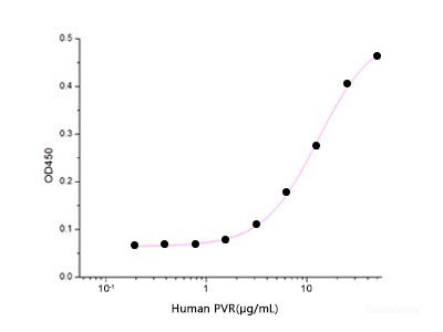 Immobilized Human TIGIT-Fc(Cat: PKSH033510) at 5μg/ml(100 μl/well) can bind Human PVR-His. The ED50 of Human PVR-His is 11.66 ug/ml .