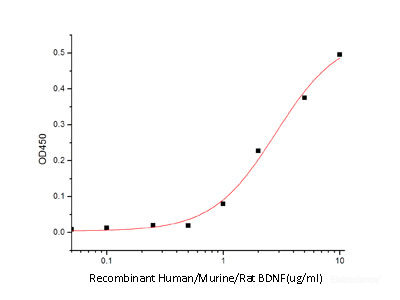 Immobilized Human BDNF at 2ug/mll(100 μl/well) can bind Human TrkB-His(Cat: PKSH033579). The ED50 of Human BDNF is 2-10 ug/ml .