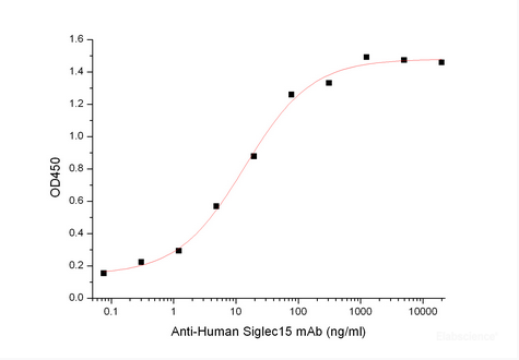 Immobilized Human Siglec-15-Fc-Avi (Cat#PKSH033890) at 2μg/ml (100 μl/well) can bind Anti-Human Siglec15 mAb. The ED50 of Anti-Human Siglec15 mAb is 13.7 ng/ml.