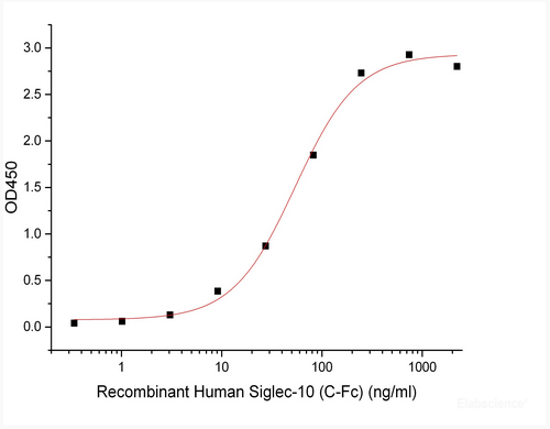 Immobilized Anti-Human Siglec10 mAb at 2μg/ml (100 μl/well) can bind Human Siglec-10-Fc(Cat#PKSH033913). The ED50 of Human Siglec-10-Fc(Cat#PKSH033913) is 53.95 ng/ml.