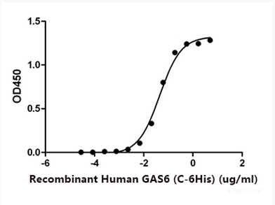 Immobilized Human AXL-His (Cat#PKSH033929) at 10μg/ml (100 μl/well) can bind Human GAS6-His* (Cat#PKSH033928).*: Biotinylated by NHS-biotin prior to testing.The ED50 of Recombinant Human GAS6-His* (Cat#PKSH033928) is 0.04466 ug/ml.