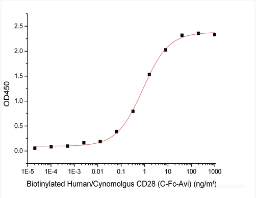 Immobilized Anti-CD28 mAb at 2μg/ml (100 μl/well) can bind Human/Cynomolgus CD28-Fc-Avi(Cat#PKSH033948). The ED50 of Human/Cynomolgus CD28-Fc-Avi(Cat#PKSH033948) is 0.84 ng/ml.