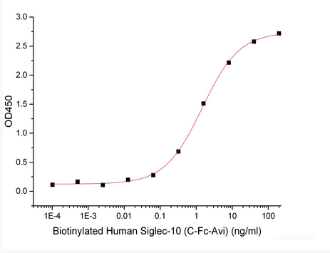 Immobilized Anti-Human Siglec10 mAb at 1μg/ml (100 μl/well) can bind Biotinylated Human Siglec-10-Fc-Avi(Cat#PKSH033985).The ED50 of Biotinylated Human Siglec-10-Fc-Avi(Cat#PKSH033985) is 1.45 ng/ml.