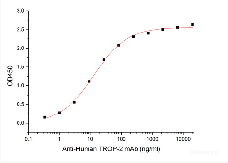Immobilized Human TROP-2-His(Cat#PKSH033991) at 2μg/ml (100 μl/well) can bind Anti-Human TROP-2 mAb.The ED50 of Anti-Human TROP-2 mAb is 13.03 ng/ml.