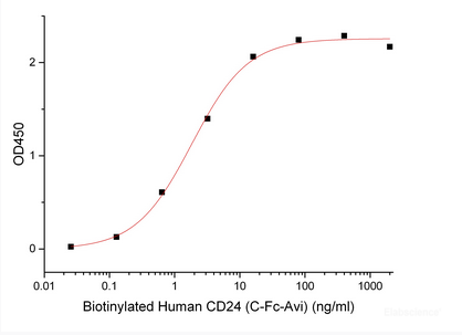 Immobilized Anti-Human CD24 mAb at 2μg/ml (100 μl/well) can bind Biotinylated Human CD24-Fc-Avi(Cat#PKSH033998). The ED50 of Biotinylated Human CD24-Fc-Avi(Cat#PKSH033998) is 1.83 ng/ml.