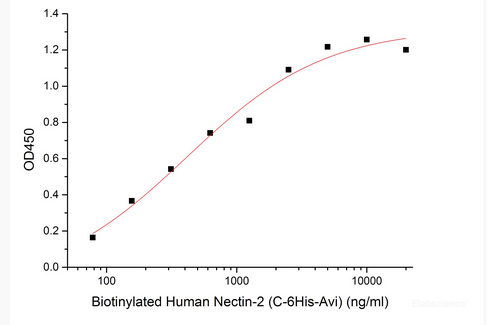 Immobilized Human PVRIG-mFc(Cat#PKSH034019) at 10μg/ml (100 μl/well) can bind Biotinylated Human Nectin-2-His-Avi(Cat#PKSH034032). The ED50 of Biotinylated Human Nectin-2-His-Avi(Cat#PKSH034032) is 0.42 ug/ml.