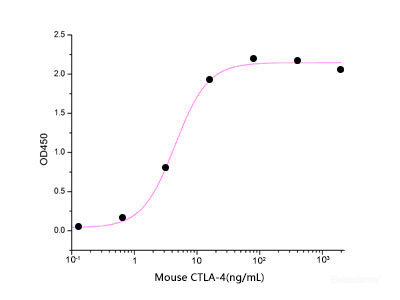 Immobilized Mouse B7-1-Fc(Cat: PKSM041366) at 1μg/ml(100 μl/well) can bind Mouse CTLA-4-His. The ED50 of Mouse CTLA-4-His is 4 ng/ml .