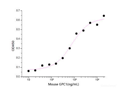 Immobilized Human FGFb(Cat: PKSH032437) at 2μg/ml(100 μl/well) can bind Mouse GPC1-His. The ED50 of Mouse GPC1-His is 786 ng/ml .