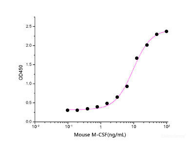 Measured in a cell proliferation assay using MNFS60 mouse myelogenous leukemia lymphoblast cells. The ED50 for this effect is 0.04-0.2 ng/ml.